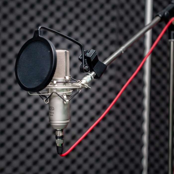 Das Bild zeigt das Mikrofon in der Podcast-Ecke des Digitalstudios im Medienkompetenzzentrum Vechta.