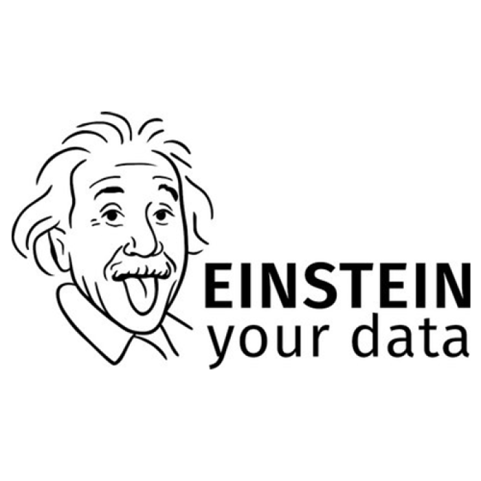 EINSTEIN your data Projektlogo